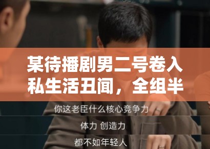 某待播剧男二号卷入私生活丑闻，全组半年的心血白费了？