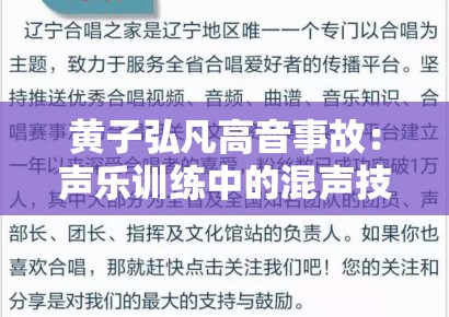 黄子弘凡高音事故：声乐训练中的混声技术缺陷与舞台风险评估
